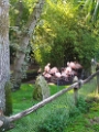 07 Zoo de la Fleche